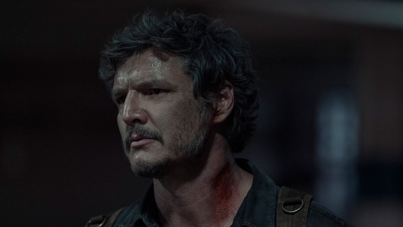 pedro pascal in the last of us