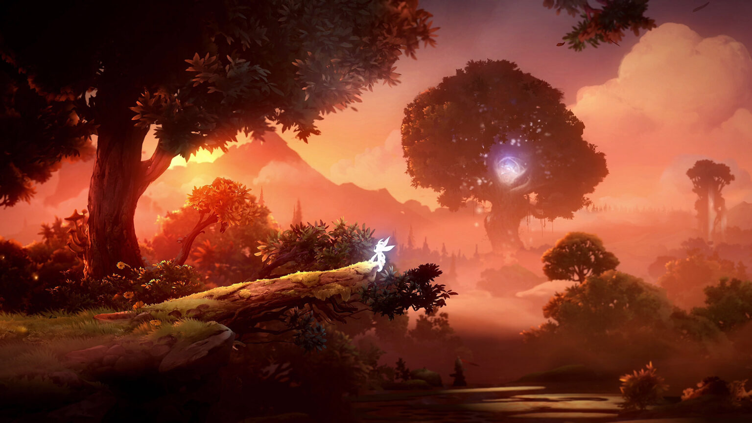 Ori: The Collection Ori: The Collection